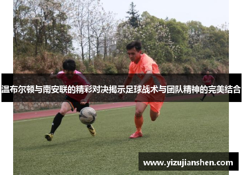 温布尔顿与南安联的精彩对决揭示足球战术与团队精神的完美结合